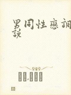 男同性恋调教小说