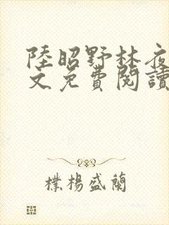 陆昭野林夜棠全文免费阅读最新章节