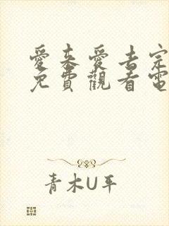 爱来爱去完整版免费观看电视剧高清封面