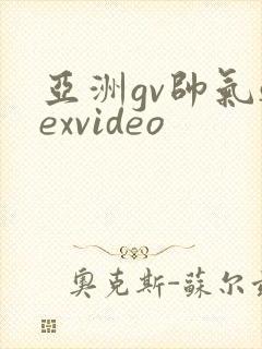 亚洲gv帅气sexvideo