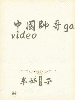 中国帅哥gayvideo