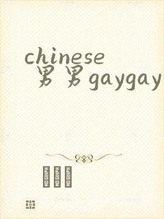 chinese 男男gaygay 网站