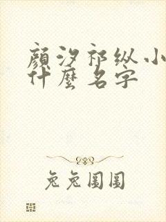 颜汐祁纵小说叫什么名字