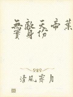 无敌天帝叶凡真实身份