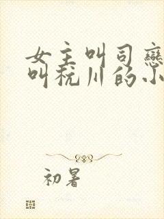 女主叫司恋男主叫杭川的小说名字