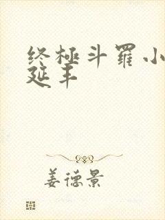 终极斗罗小说王延丰