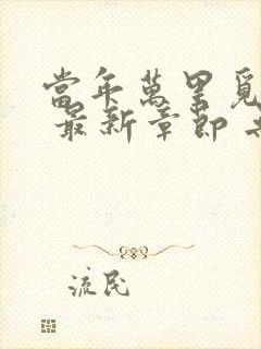 当年万里觅封侯 最新章节 无弹窗封面