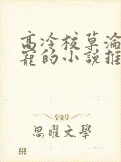 高冷校草沦为攻宠的小说推荐
