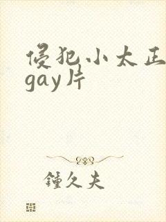侵犯小太正裸体gay片