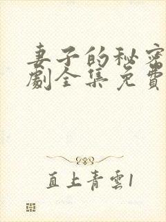 妻子的秘密电视剧全集免费观看西瓜