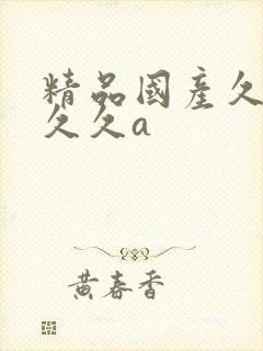 精品国产久久久久久a封面