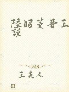 陆昭菱晋王的小说