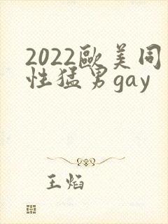 2022欧美同性猛男gay