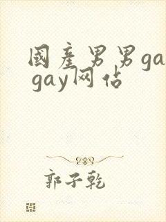国产男男gay gay网站