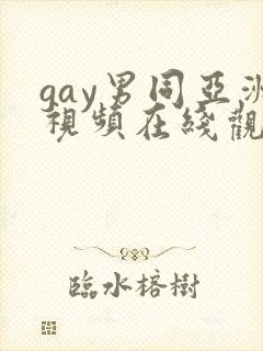 gay男同亚洲视频在线观看