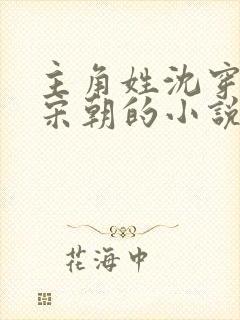 主角姓沈穿越到宋朝的小说