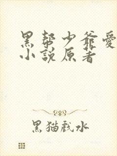 黑帮少爷爱上我小说原著