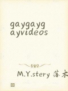 gaygaygayvideos封面