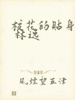 校花的贴身高手 林逸