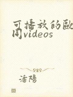 可播放的欧美男同videos