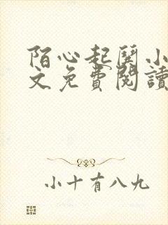 陌心起哄小说全文免费阅读最新章节