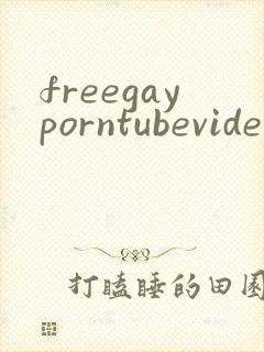 freegayporntubevideos封面