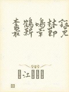 李鹤鸣林钰小说最新章节免费阅读封面