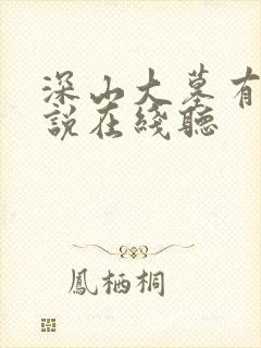 深山大墓有声小说在线听