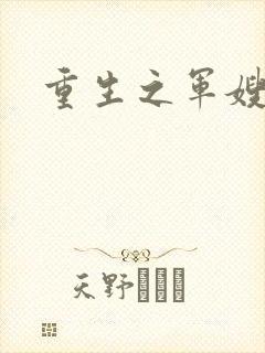 重生之军嫂封面