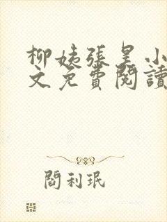 柳姨张昊小说全文免费阅读