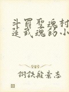 斗罗圣魂村,青莲武魂的小说