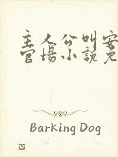 主人公叫安江的官场小说免费阅读封面