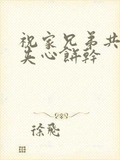 祝家兄弟共享后夹心饼干封面