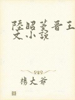 陆昭菱晋王的全文小说