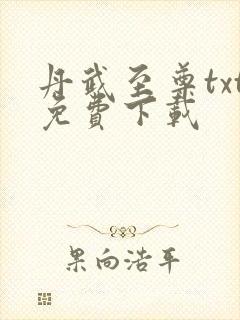 丹武至尊txt免费下载