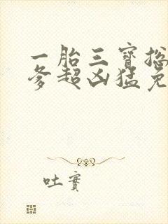 一胎三宝总裁爹爹超凶猛免费阅读封面