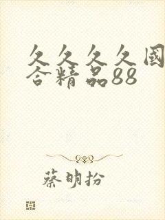 久久久久国产综合精品88