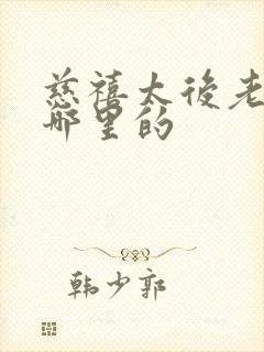 慈禧太后老家是哪里的封面