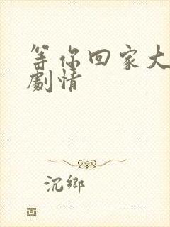 等你回家大结局剧情