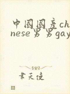 中国国产chinese男男gay gay网站封面