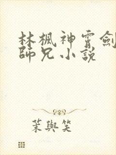 林枫神霄剑宗大师兄小说