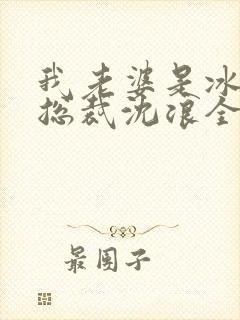 我老婆是冰山女总裁沈浪全集