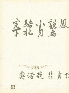 完结小说凤逆天下北月篇封面