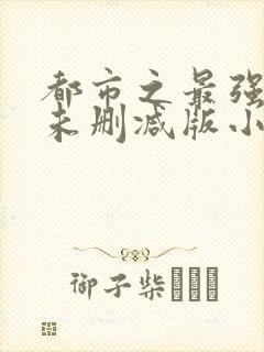 都市之最强狂兵未删减版小说