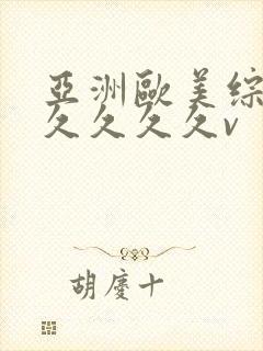 亚洲欧美综合久久久久久v