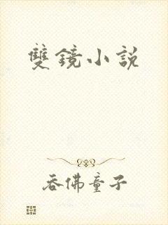 双镜小说