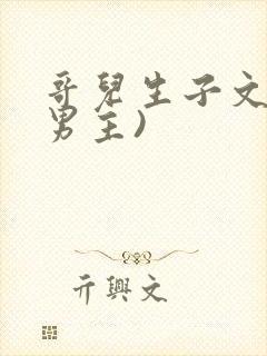 哥儿生子文(双男主)