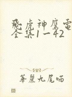 飞虎神鹰电视剧全集1一42