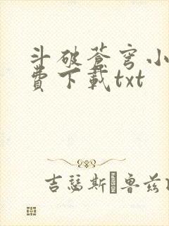 斗破苍穹小说免费下载txt封面