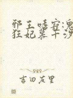 邪王嗜宠:鬼医狂妃慕千汐九夜